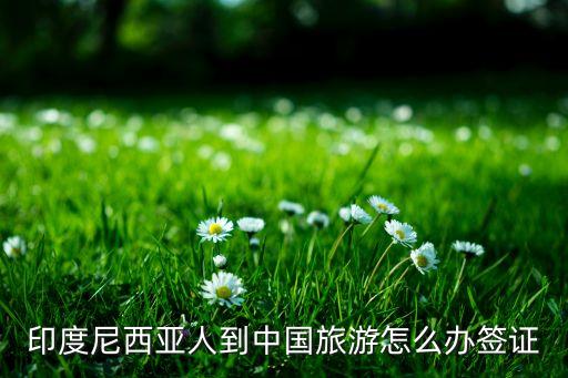 印尼人怎么到中國旅游，印度尼西亞人到中國旅游怎么辦簽證...